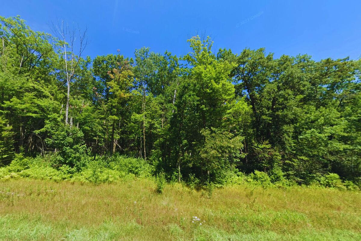 Secluded - Flinstone Rd. Cushing, MN 56443