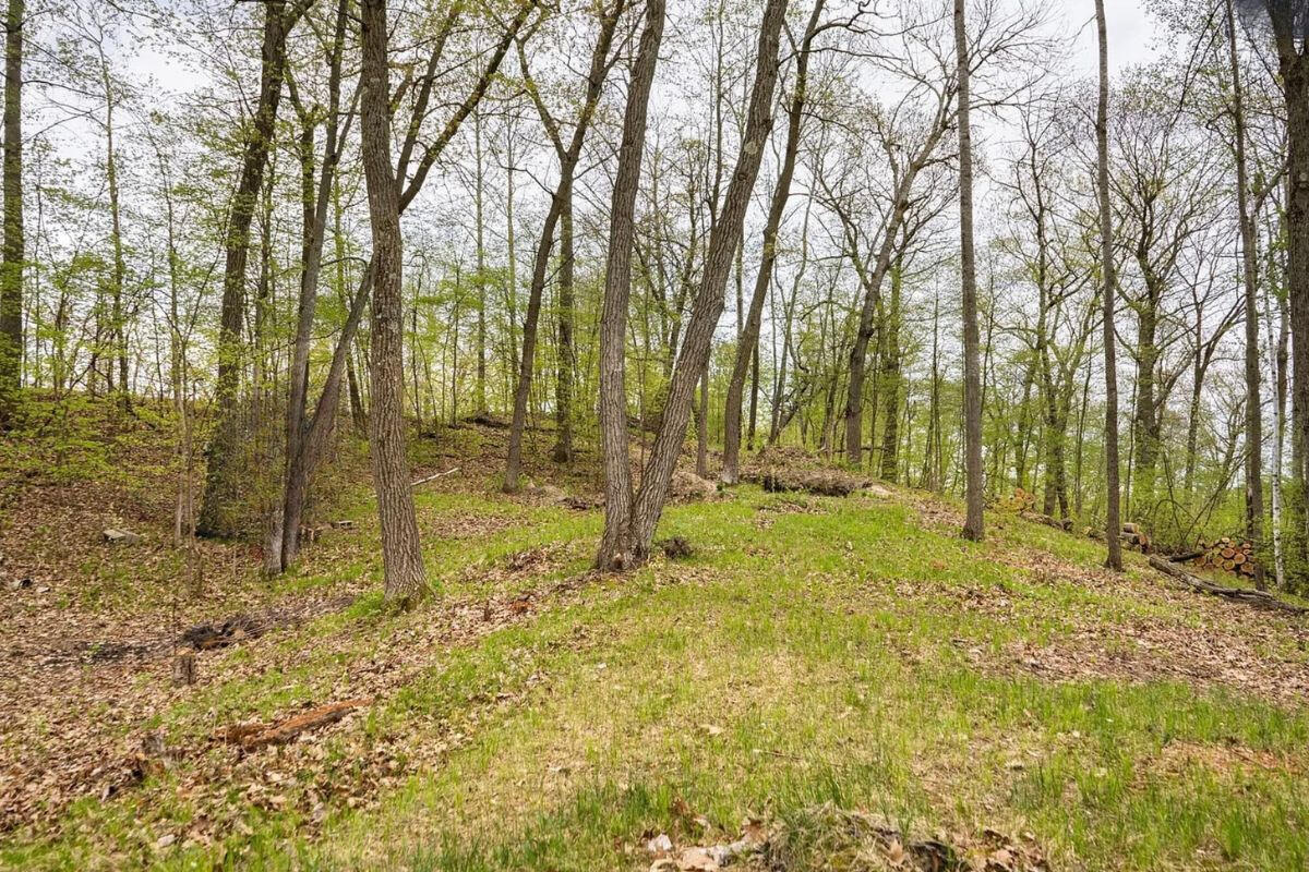 Secluded - Flinstone Rd. Cushing, MN 56443