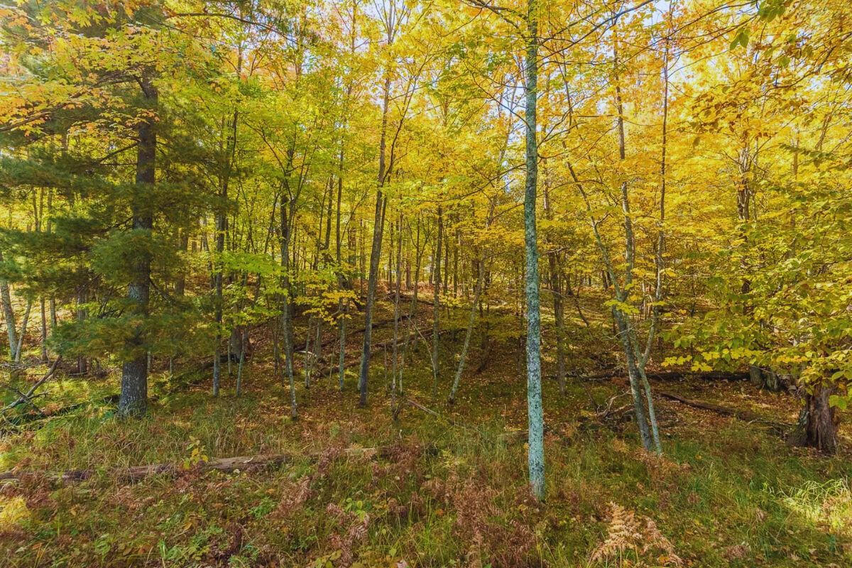 Secluded - Flinstone Rd. Cushing, MN 56443