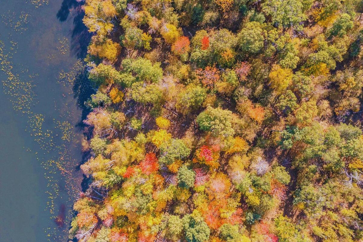 Secluded - Flinstone Rd. Cushing, MN 56443