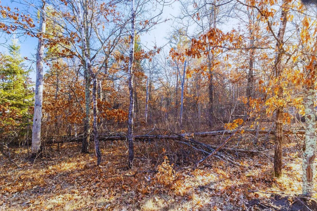 Secluded - Flinstone Rd. Cushing, MN 56443